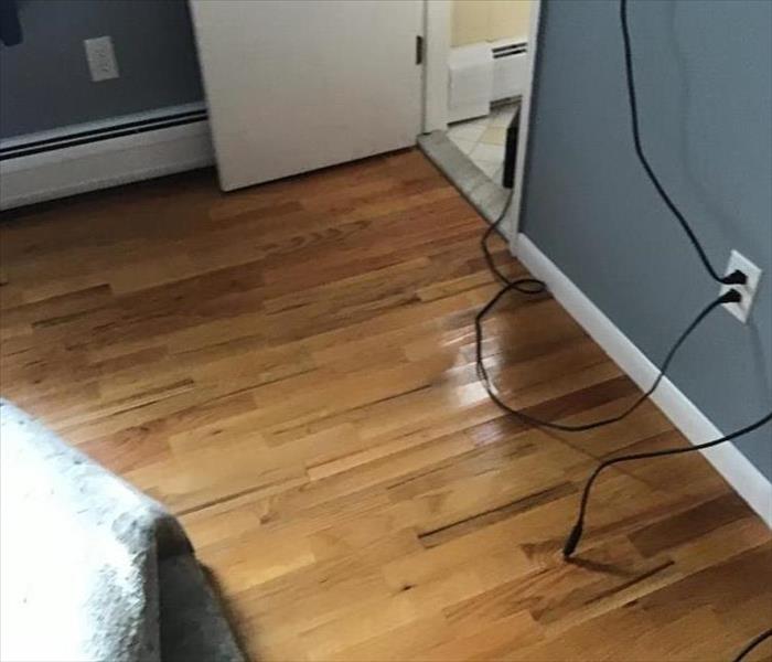 Wood floor damaged by water.