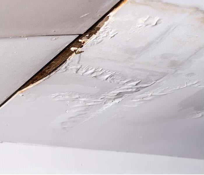 Ceiling with water damage and peeling paint.