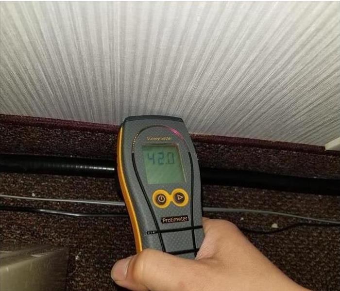 Moisture Sensor tool measuring water and moisture in a wall.